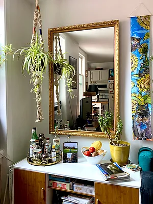 Rented by Douglas Elliman | media 2