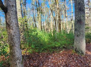 Ridgecrest Dr, Blue Ridge, GA 30513