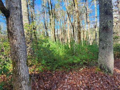 Ridgecrest Dr, Blue Ridge, GA, 30513