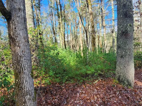 Ridgecrest Dr, Blue Ridge, GA 30513