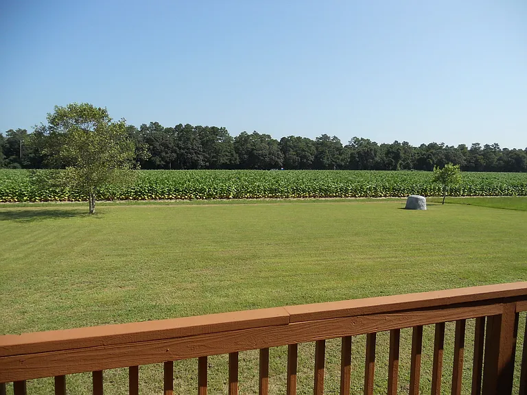409 Pointe Dr — Photo 14