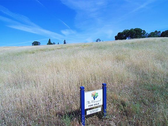 2nd image of 2615 Vineyard Dr