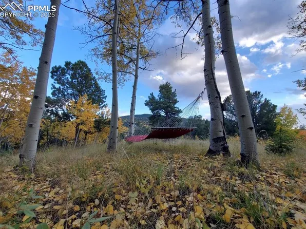 2724 Yorktown Rd, Cripple Creek, CO 80813