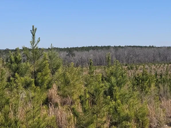 0 Highway 139 #1, Randolph, AL 36792