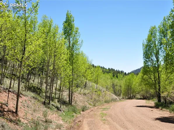 1929 Golden Cycle Cir, Cripple Creek, CO 80813