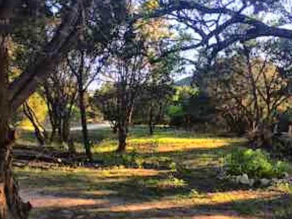 3rd image of 4473 County Road 389