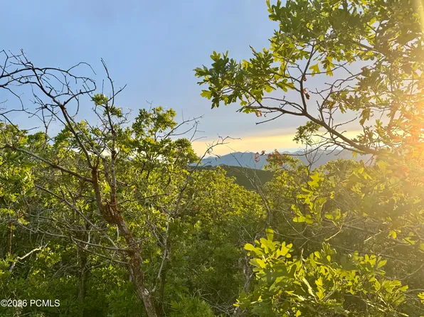 1556 S Tree Top Ln #353, Heber City, UT 84032