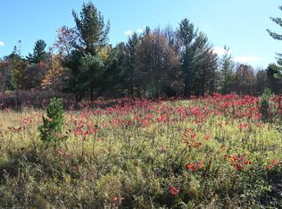 Pike Court Fawn, Browerville, MN 56438