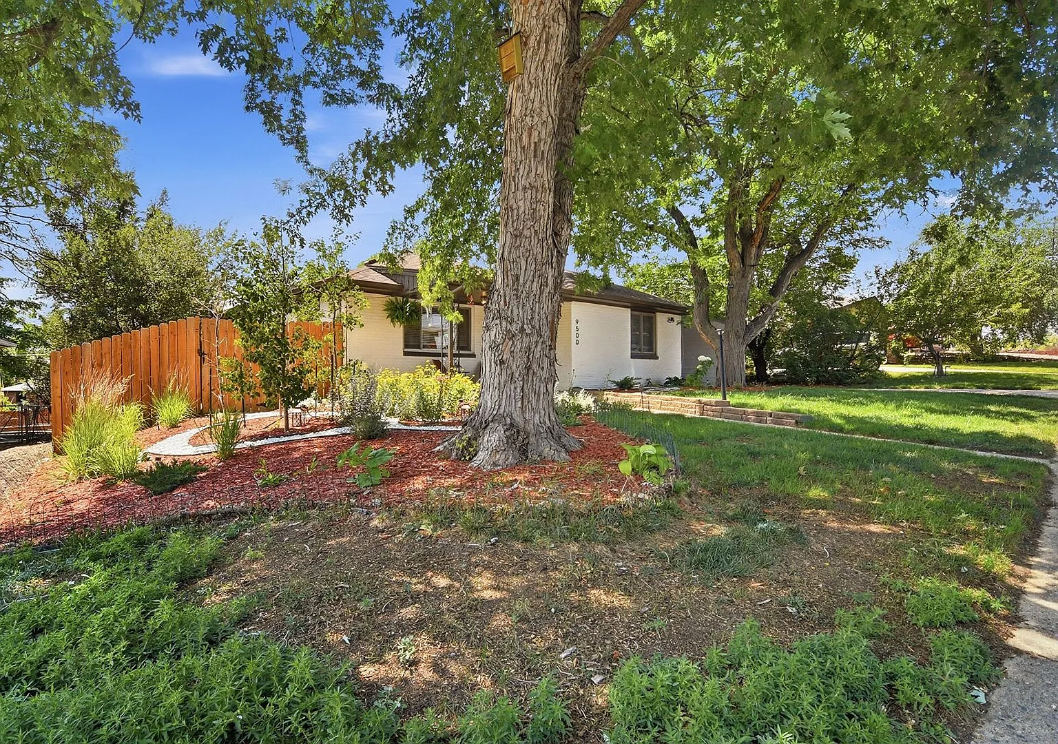 Remodeled 4-bed, 2-bath classic ranch with modern floor plan near Olde Town Arvada! — Photo 3