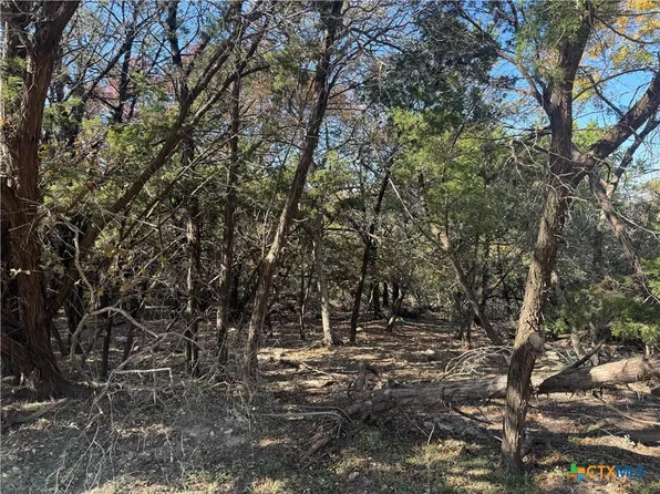 5982 Buggy Ride Rd, Temple, TX 76502