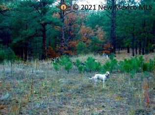 LOT 9 Christmas Tree Cyn LOT 9, Mora, NM 87732