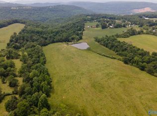 Nelson Rd, Grant, AL 35747