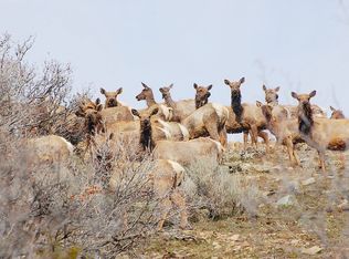 260 Hobble Creek Cyn, Springville, UT 84663