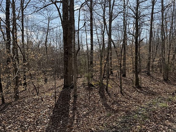 2nd image of 1 Coxburg Rd S