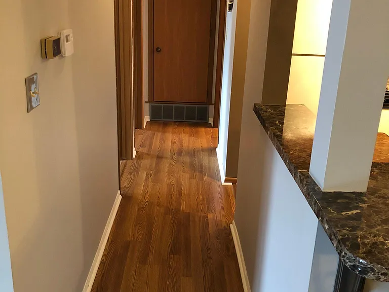 245 W Joliet St #303 — Photo 7