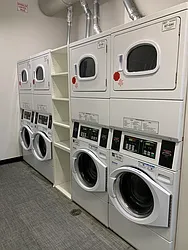 Rented by Bold New York