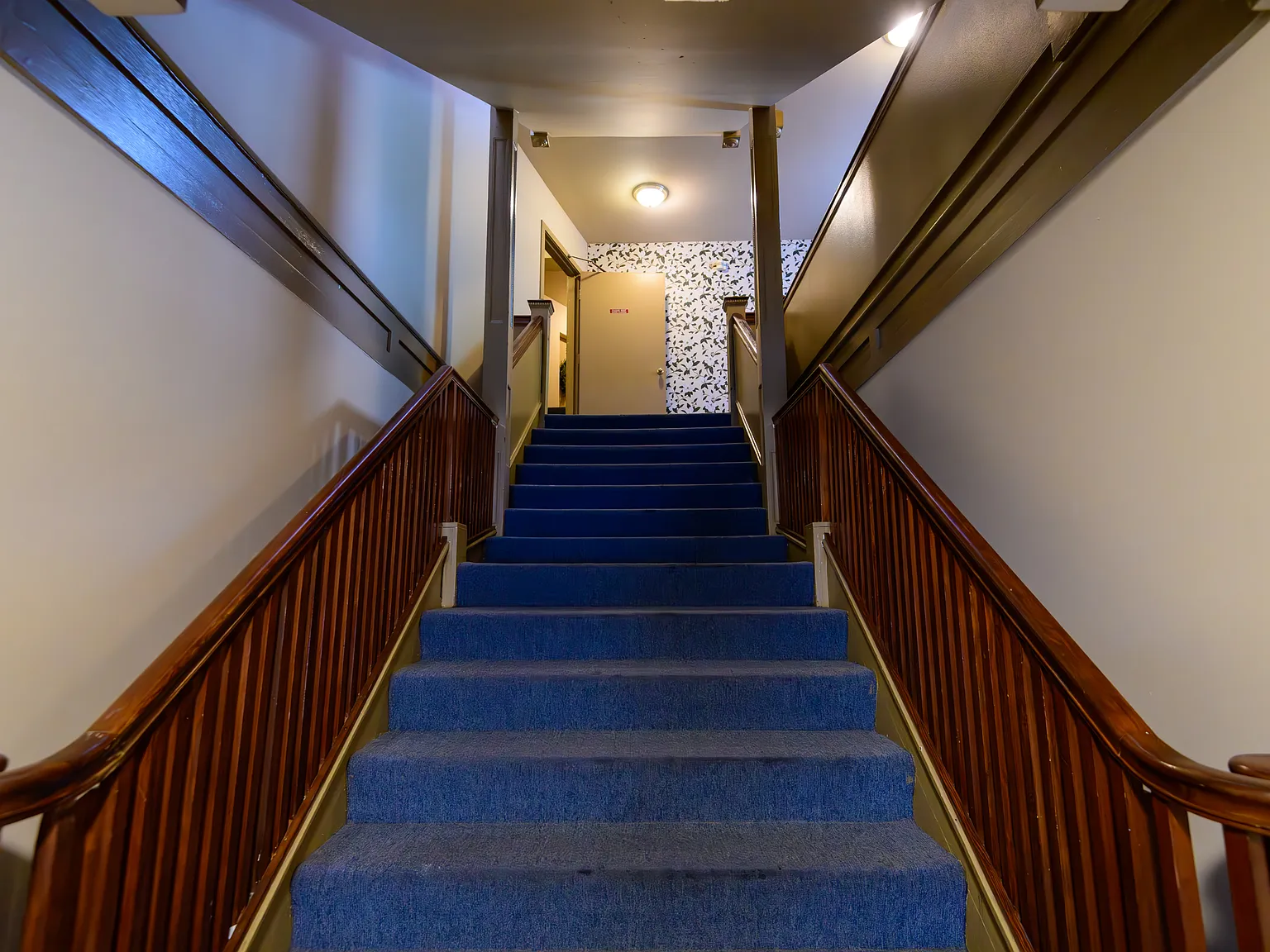Shannon Apartments — Photo 1