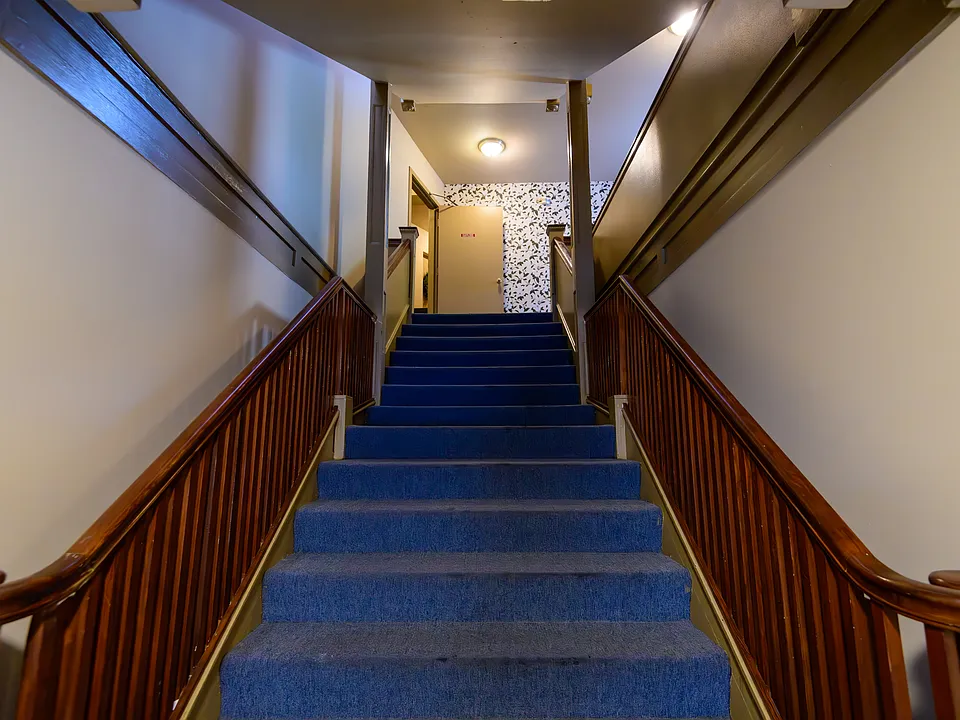 Shannon Apartments