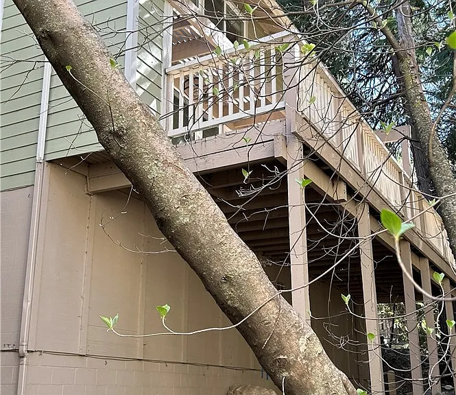209 Cool Creek Ln — Photo 5