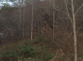 0 N Coyote Springs Farm Rd UNIT 6C, Leicester, NC 28748