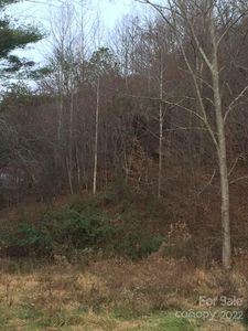 0 N Coyote Springs Farm Rd UNIT 6C, Leicester, NC, 28748