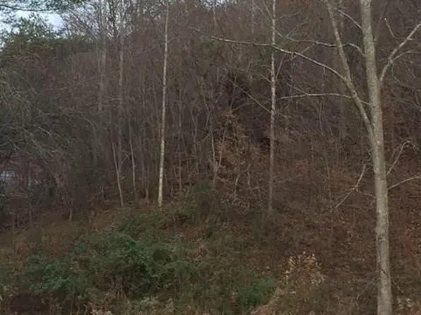 0 N Coyote Springs Farm Rd Unit 6C, Leicester, NC 28748