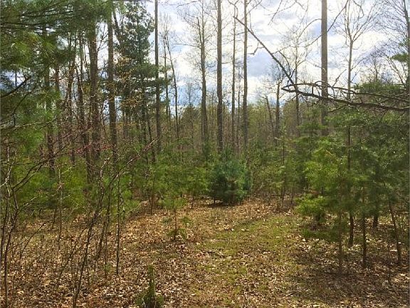 5th image of Chestnut Ridge