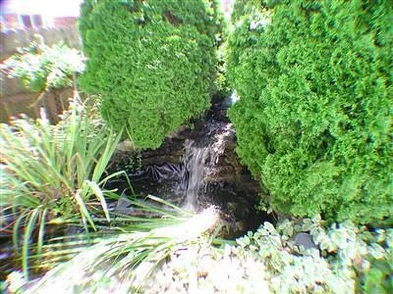 Thumbnail 10