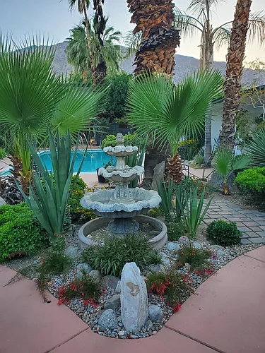 777 S Camino Real #7 Photo 1