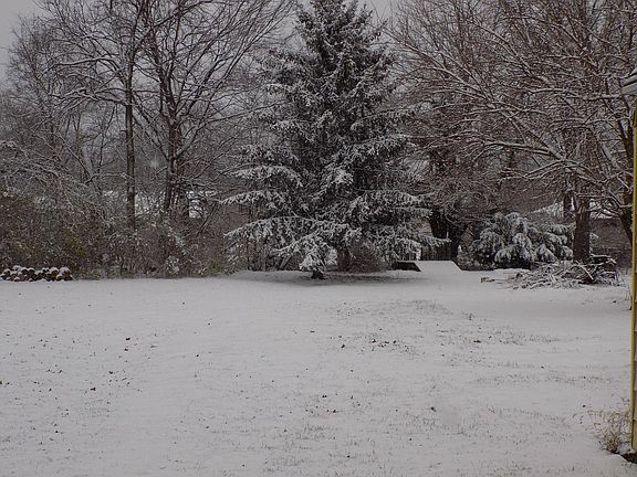 2nd image of 137 Robinwood Ave