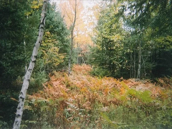 On Koehmstedt Rd, Hurley, WI 54534