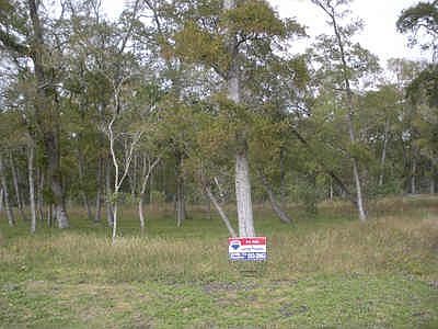 Feb 8 2010