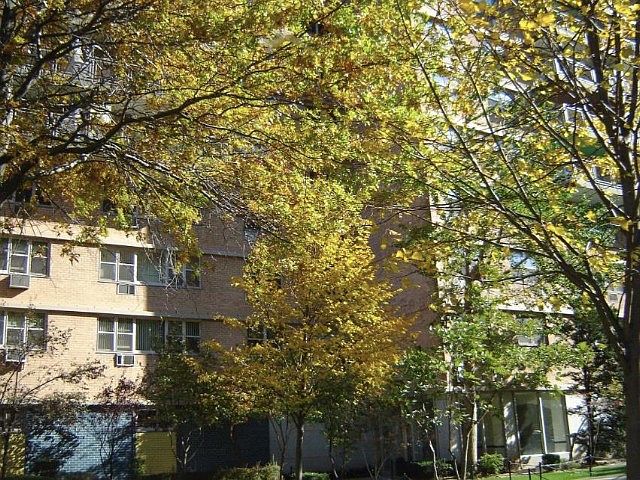 1st image of 460 Neptune Ave APT 8P