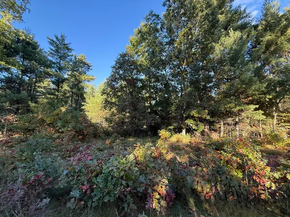 1242 Sydney St Lot 33, Whitehall, MI 49461