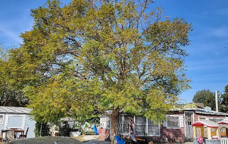 213 Anacapa Dr #A — Photo 1
