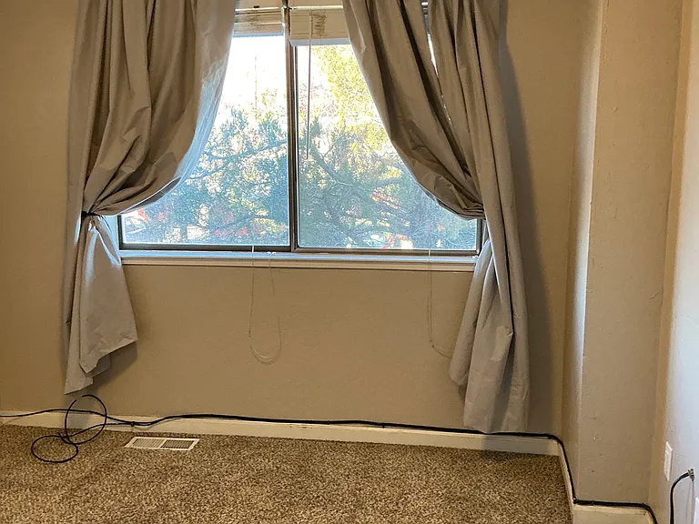 3142 Bristle Branch Dr #3142 — Photo 14