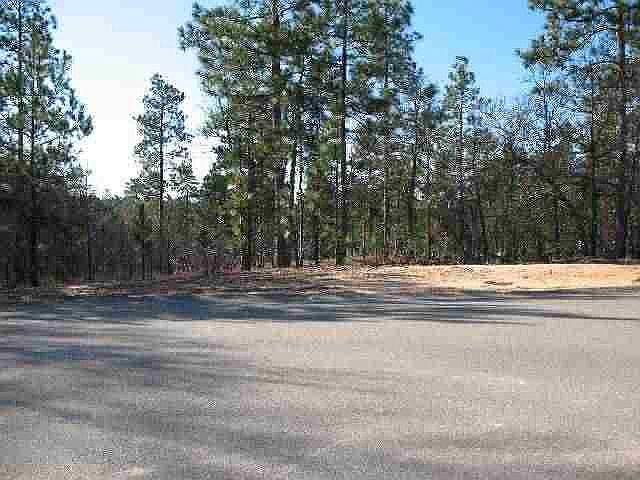 1st image of TBD Lamplighter Lane