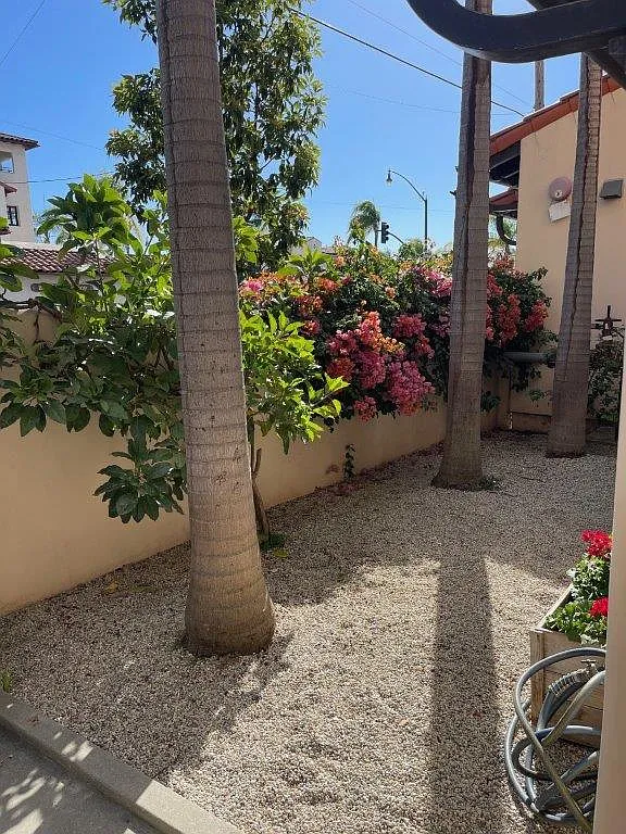 3 bed, $5,500 — Photo 4