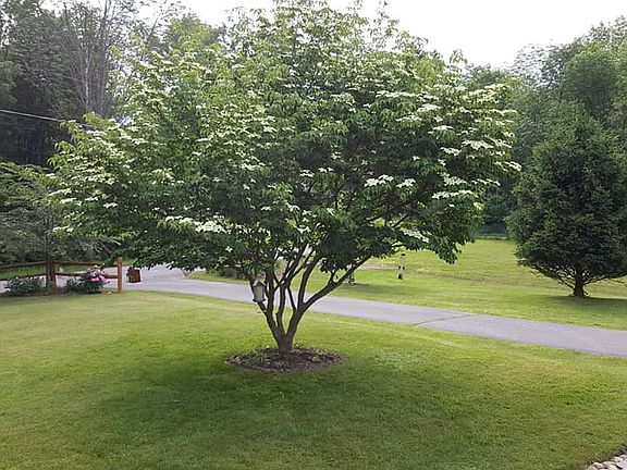 Gorgeous property in summer!
