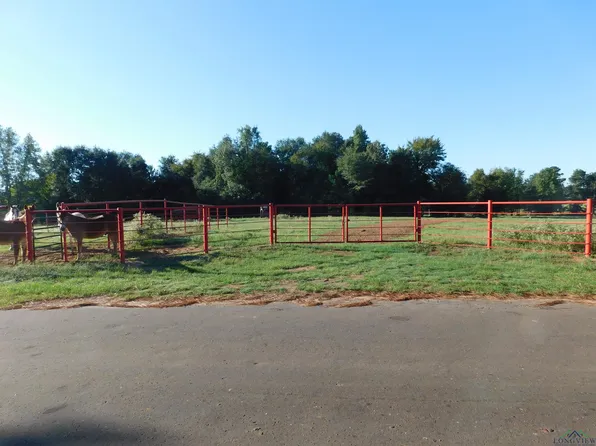 Tbd Deer Rd, Gilmer, TX 75644