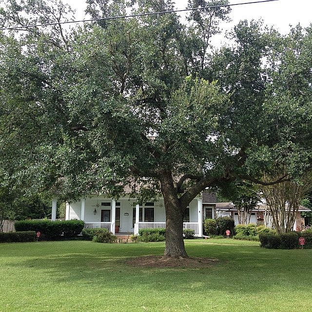 1st image of 320 Deerpark Trl