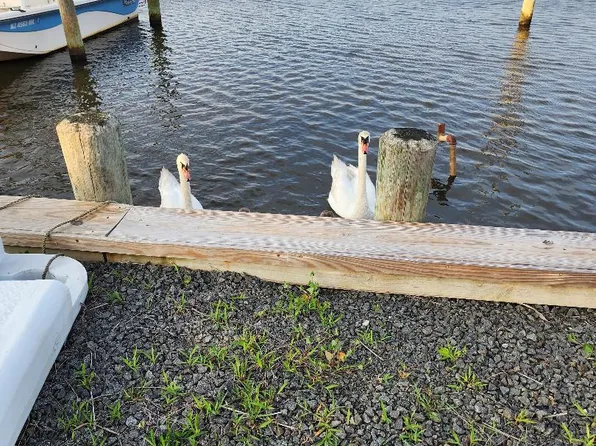 328 Dock Rd, West Creek, NJ 08092