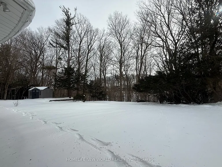 59 Forest Grove Dr #BASEMENT — Photo 24