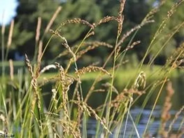 White Pine Ave NE, Hartville, OH 44632