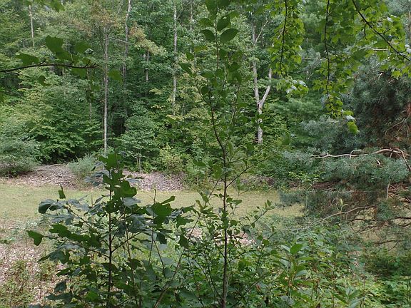 4th image of 10536 E Blue Lake Dr