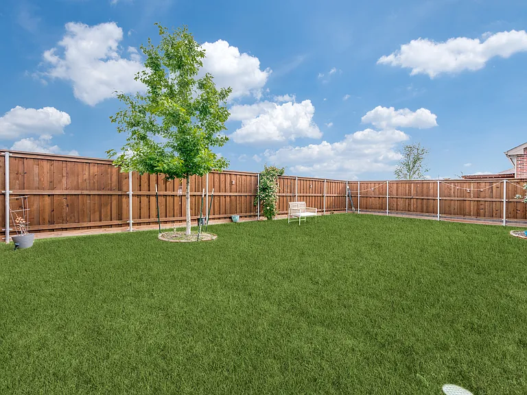 Beautiful backyard