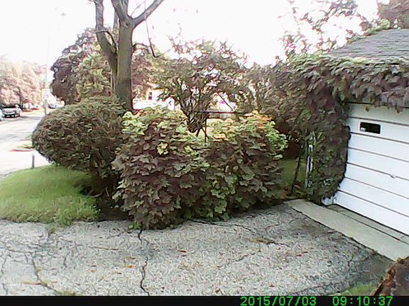 4th image of 1412 E Hudson St
