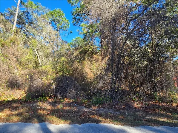 3257 E Kennedy St Lot 69, Inverness, FL 34453