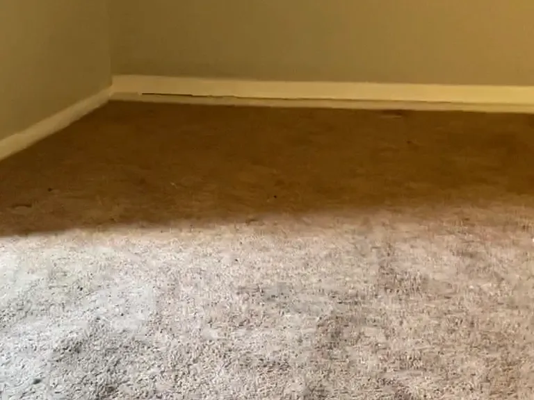 1405 E Carson St #1 — Photo 6