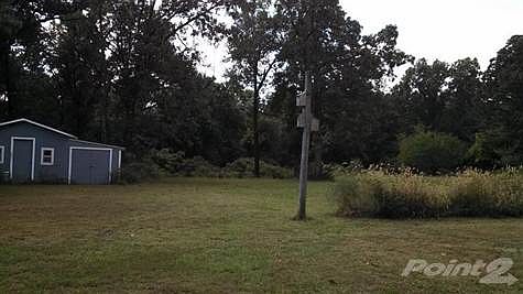 Producing asparagus bed